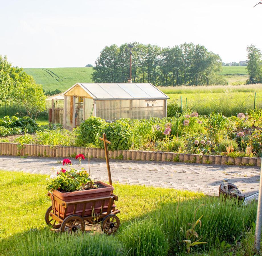 Ferienwohnung Am Kugelbaum Lunzenau ภายนอก รูปภาพ
