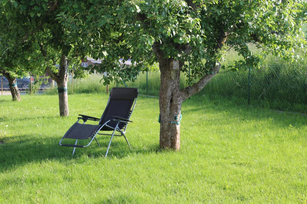 Ferienwohnung Am Kugelbaum Lunzenau ภายนอก รูปภาพ