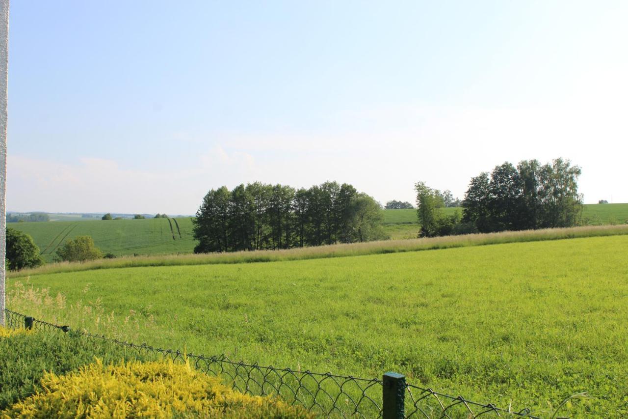 Ferienwohnung Am Kugelbaum Lunzenau ภายนอก รูปภาพ